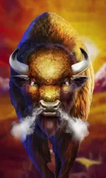 Buffalo Rampage